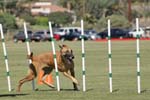 091607_Spreckels_Cup_0401