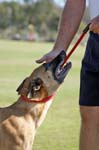 091607_Spreckels_Cup_0414