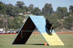 091607_Spreckels_Cup_0418