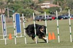 091607_Spreckels_Cup_0421
