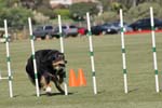 091607_Spreckels_Cup_0422