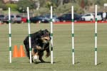 091607_Spreckels_Cup_0426