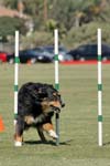 091607_Spreckels_Cup_0427