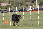 091607_Spreckels_Cup_0429