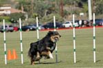 091607_Spreckels_Cup_0430