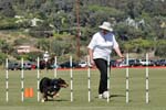 091607_Spreckels_Cup_0435