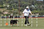 091607_Spreckels_Cup_0436