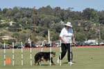 091607_Spreckels_Cup_0437