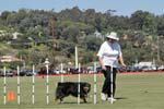 091607_Spreckels_Cup_0438