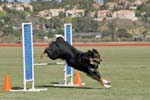 091607_Spreckels_Cup_0440