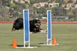 091607_Spreckels_Cup_0448