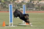 091607_Spreckels_Cup_0449