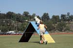 091607_Spreckels_Cup_0450