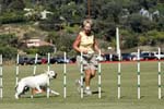 091607_Spreckels_Cup_0455