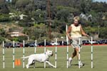 091607_Spreckels_Cup_0461