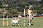 091607_Spreckels_Cup_0462