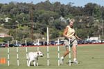 091607_Spreckels_Cup_0464