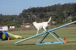 091607_Spreckels_Cup_0468