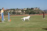 091607_Spreckels_Cup_0482