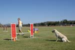 091607_Spreckels_Cup_0491