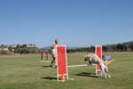 091607_Spreckels_Cup_0492