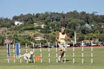 091607_Spreckels_Cup_0501