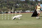 091607_Spreckels_Cup_0507