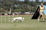 091607_Spreckels_Cup_0508