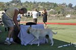 091607_Spreckels_Cup_0527
