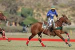 092307_Spreckels_Cup_0614