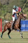 092307_Spreckels_Cup_0743