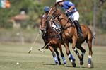 092307_Spreckels_Cup_0007