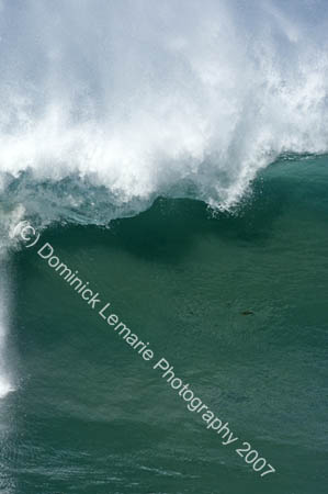 120407_Surf_LJ_409
