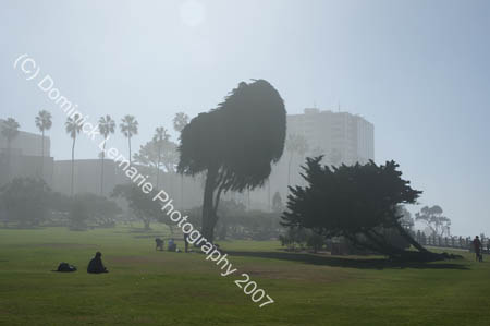 120407_Surf_LJ_617