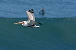 120407_Surf_LJ_258