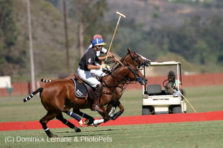 082706-Polo-0116