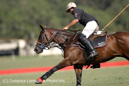 082706-Polo-0188