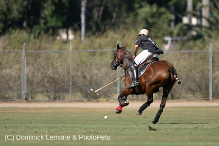 082706-Polo-0189