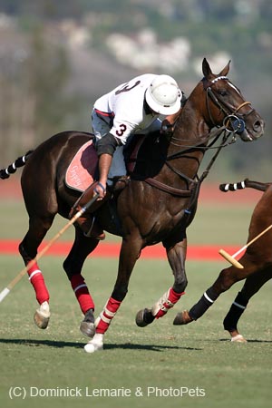 082706-Polo-0195