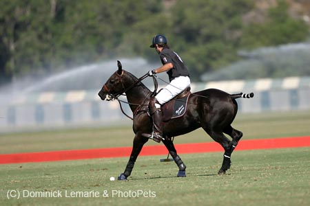 082706-Polo-0196