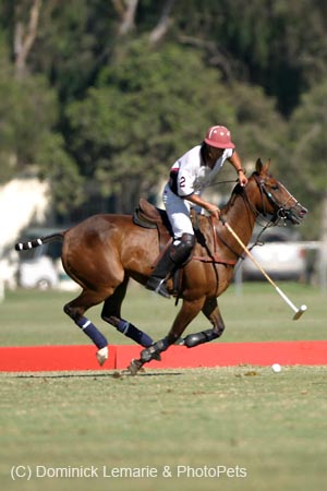082706-Polo-0219