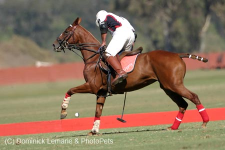 082706-Polo-0224