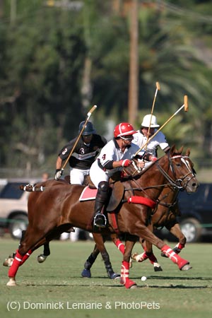 082706-Polo-0227