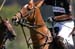 082706-Polo-0074