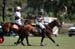 082706-Polo-0140