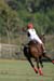 082706-Polo-0184