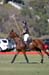 082706-Polo-0233