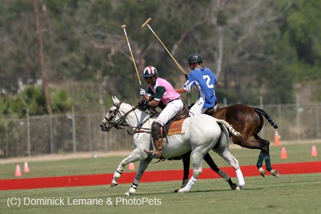 090306-Polo-0006