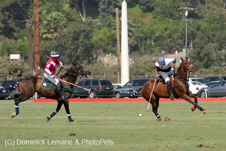 090306-Polo-0185