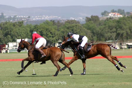 090306-Polo-0191